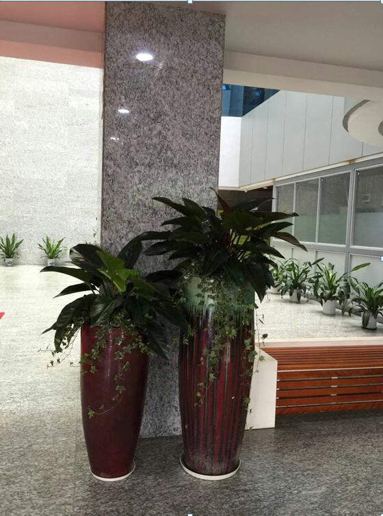 工程案例