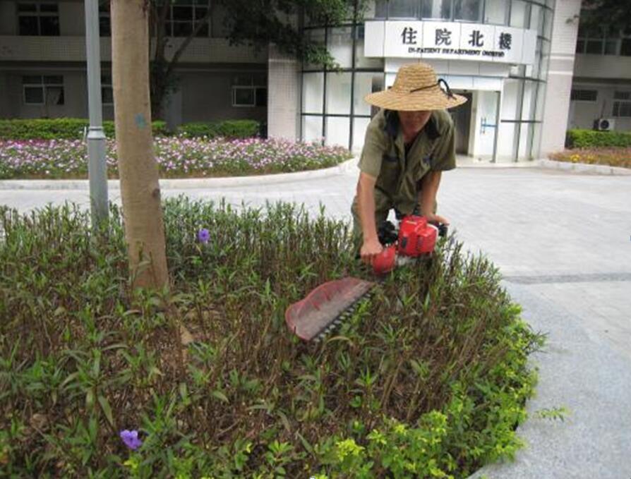 养护服务