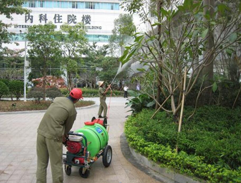 养护服务