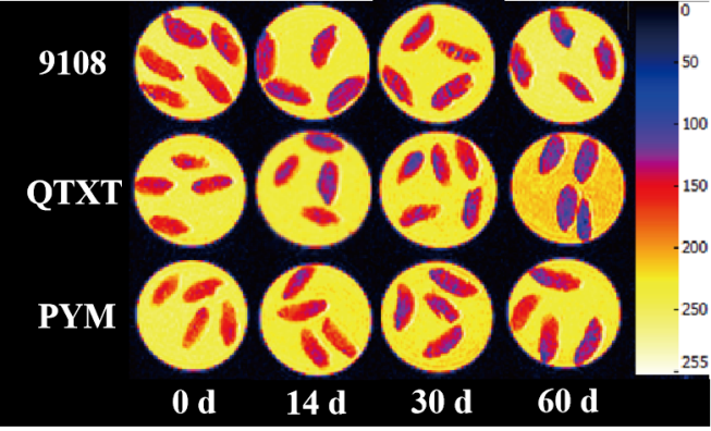 “纽迈杯”江南大学优秀案例解析|不同冷冻储藏期速冻米饭水分分布变化规律探究